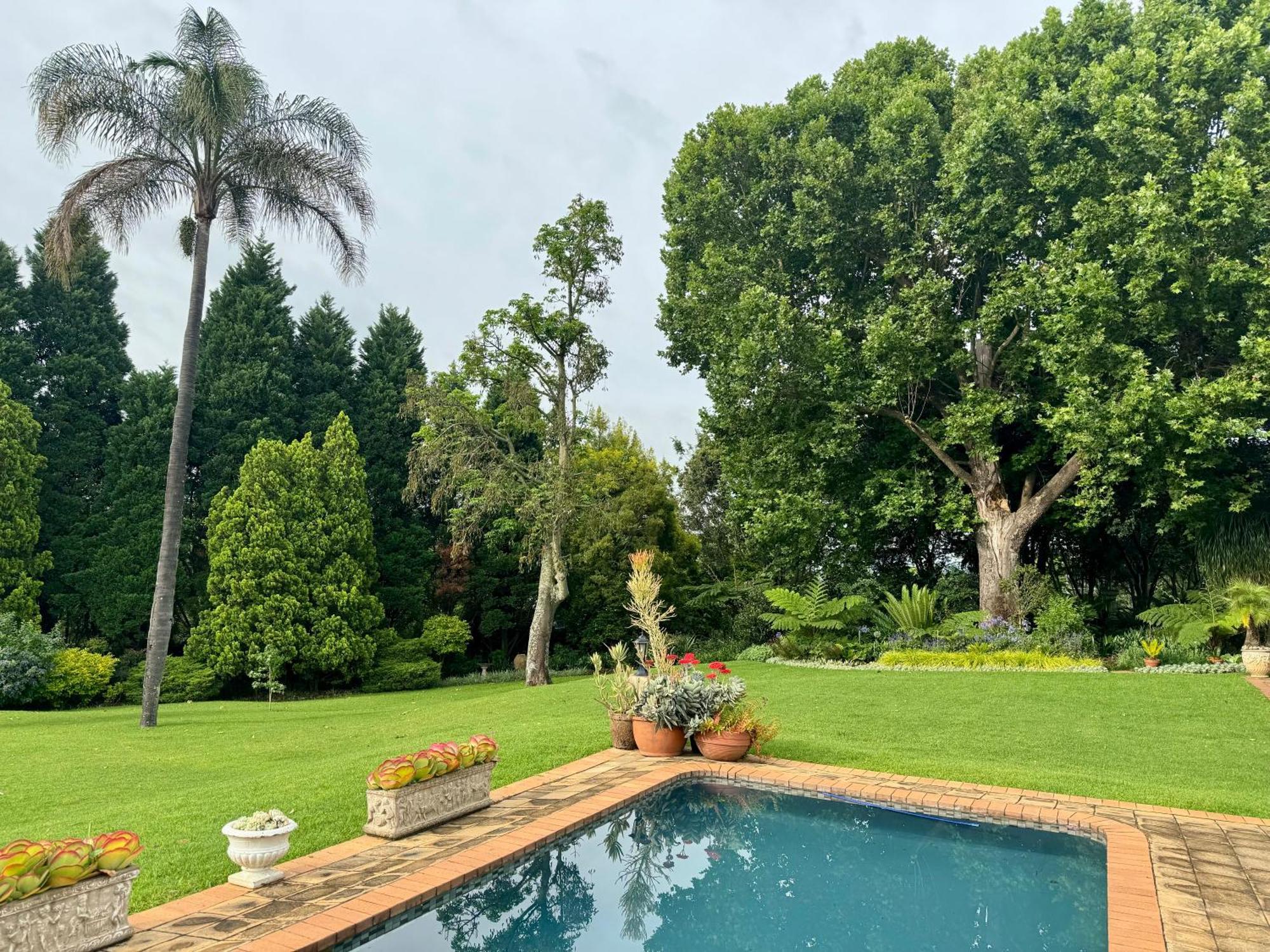 Pin Oak Cottage Vryheid Zewnętrze zdjęcie